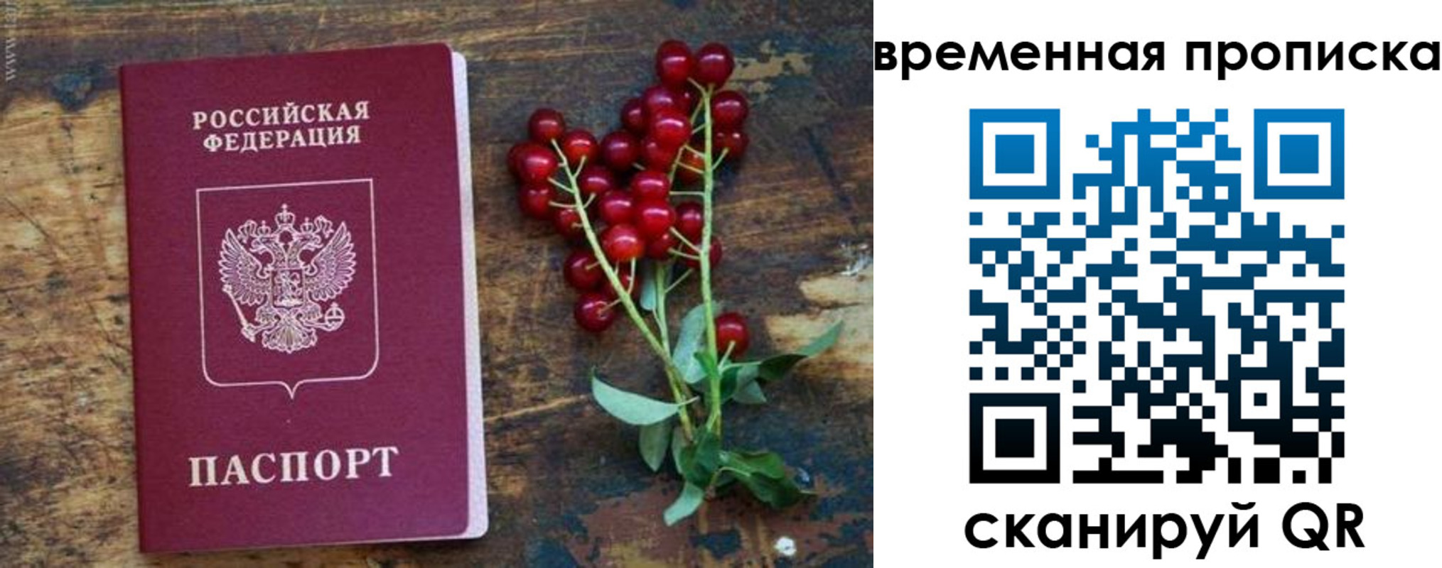 временная регистрация гарантия в Плавске